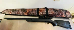 lot 7 image: Gamo Big Cat 1200 .177 Cal. 1200 FPS Break Barrel Air Rifle With Scope & Case