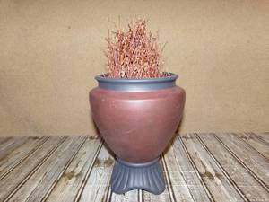 lot 94 image: Regal Ceramic Pot With Plant