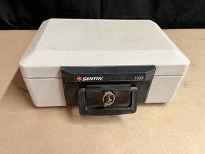 lot 259 image: Sentry 1100 Fire Safe with Key