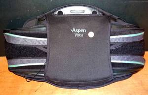 lot 343 image: ASPEN VISTA LUMBAR BACK BRACE $$$