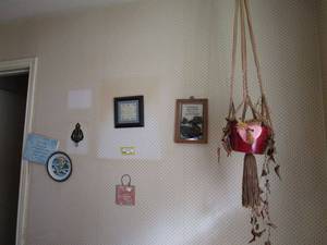 lot 227 image: KITCHEN WALL SIGNS, DECOR, AND HANGING PLANT.&nbsp