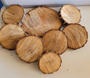 lot 154 image: LOT OF TREE BARK SLICES IN ASSORTED SIZES AS SHOWN.