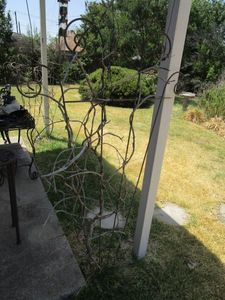 lot 65 image: OUTDOOR METAL PLANTVINE SUPPORTDECOR