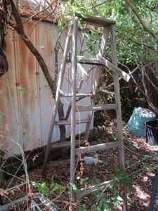 lot 74 image: WOOD LADDER