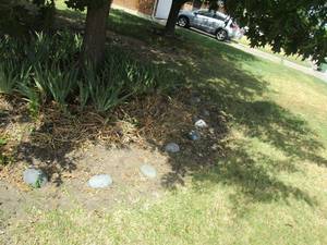 lot 85 image: LOT OF YARD STONES