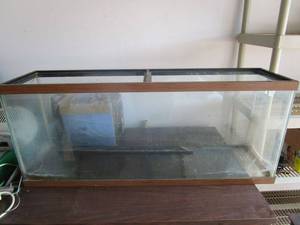 lot 348 image: LARGE REPTILE OR FISH GLASS AQUIRIUM