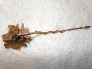 lot 140 image: VINTAGE CANDLE SNUFFER