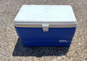 lot 248 image: Blue Igloo Cooler