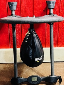 lot 78 image: Wall-Mounting Everlast Kangaroo Speed Bag