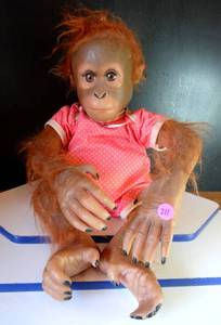 lot 211 image: BIG $ ITEM - Ashton-Drake Annabelles Hugs Monkey Doll by Ina Volprich