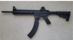 lot 301 image: SMITH & WESSON    M&P 15-22  22LR HBY9229
