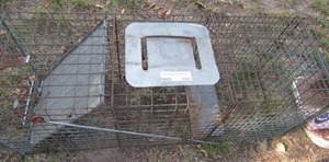lot 795 image: Live trap