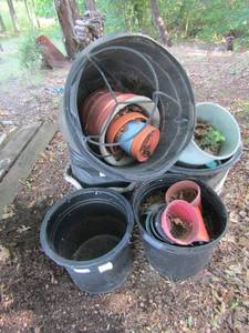 lot 798 image: Assorted ceramic and plastic garden pots