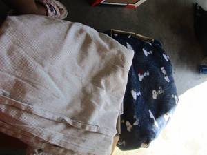 lot 836 image: SHEETS, TOWELS, BLANKET