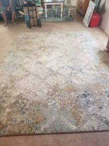 lot 18 image: Large  9 by 12 Karastan - Touchstone rug with pad