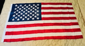 lot 157 image: 48x29 American Flag