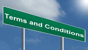 lot 6 image: TERMS & CONDITIONS