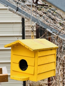 lot 51 image: 6x 6x 5 VINTAGE YELLOW HANGING BIRD HOUSE