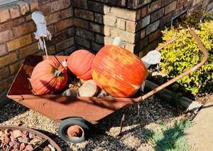 lot 189 image: VINTAGE METAL WHEEL BARROW wDECORATIVE PUMPKINS FOR YARD ART