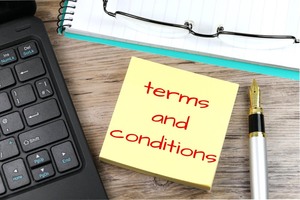 lot 6 image: TERMS &amp CONDITIONS