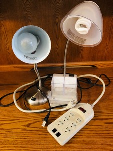 lot 177 image: 2 DESK LIGHTS &amp POWER CORD