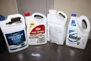 lot 80 image: Insect Killer, Weed Killer (4 Containers)