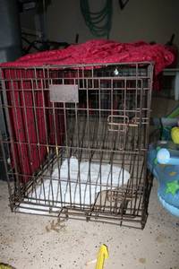 lot 97 image: Large Dog Kennel Cage