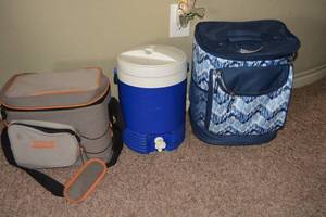 lot 140 image: 3 Coolers as shown