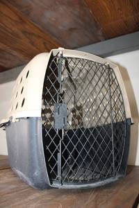 lot 174 image: Small Pet Crate