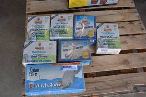 lot 211 image: Mr. Clean Disposable Vinyl Gloves - 7 Packages unopened
