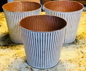 lot 291 image: 3 TRADER JOES BRASS 3.8qt PLANTER FOR JUMBO PREMIUM CALATHEA - MADE IN INDIA