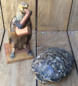 lot 19 image: Taxidermy Tortise Turtle Playing Saxophone - Turtle Shell
