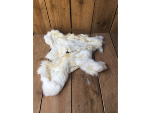lot 82 image: White Rabbit Pelts Fur (2)