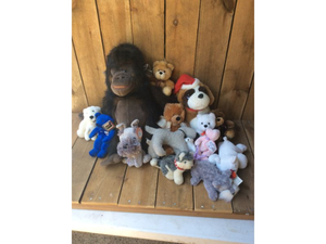 lot 67 image: Large Assortment of Plush Animals - Al Gore Plush Teddy Bear