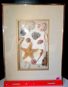 lot 245 image: LOVELY BEACH THEMED SEASHELL COLLECTION WALL DECOR UNDER GLASS AND SIGNED