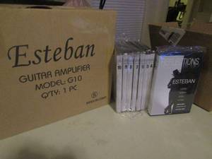 lot 187 image: Reflections Esteban Instrumental DVD master series volume 2-10        Esteban guitar amp. Model G10