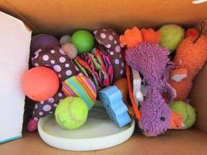 lot 256 image: Dog toys as shown