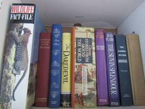 lot 90 image: Box of books- David Copperfield, the Gabriel hounds    Red rose of Anjou