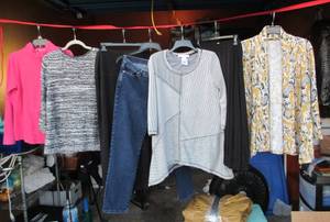 lot 173 image: Misc Ladies Clothing LgXLg in Colors and Styles as Shown