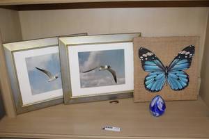 lot 42 image: Frames Bird Photos, Butterfly on Burlap Canvas, and Glass Blow Egg