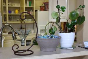 lot 48 image: Live Plant, Bowl full of Glass Stones, Small Glass Cone Vase and Stand
