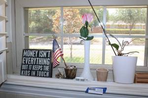lot 87 image: Live Plant, Wooden Money Sign and Small Vases