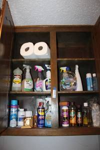 lot 162 image: Cleaning and some Pool Supplies
