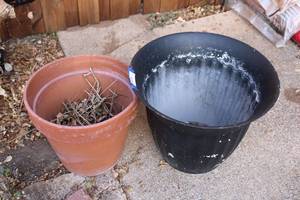 lot 251 image: Plastic and Terra Cotta Planters