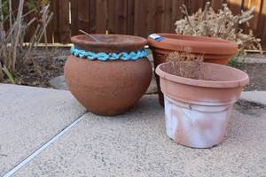 lot 254 image: Plastic and Pottery Planters