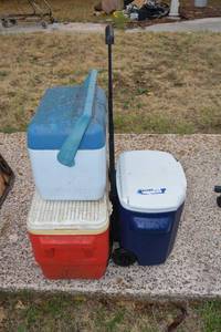 lot 244 image: Coolers as shown