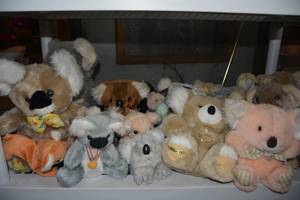 lot 215 image: Teddy Bears Koalas