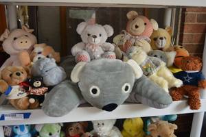 lot 220 image: Teddy Bears Plush Koala Pillow, Dallas Cowboys Bear and More