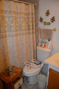 lot 62 image: Bathroom Dcor Shower Curtain, Small Wooden Table, Wall Dcor