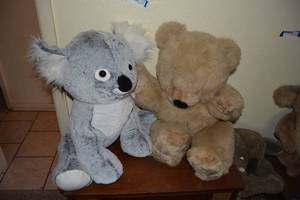 lot 180 image: This&That Plush Koala Bear and Brown Teddy Bear
